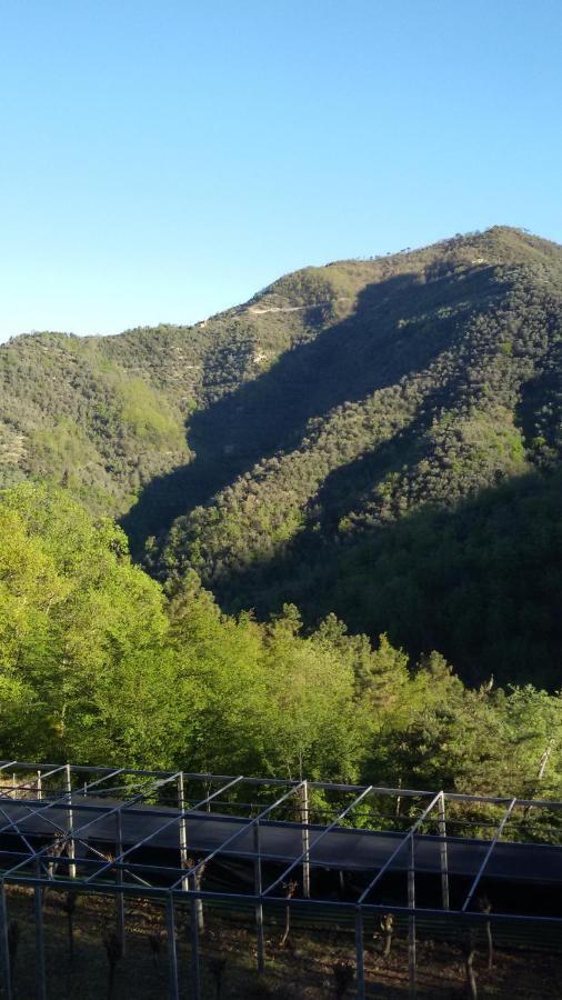 아프리칼레 Nostro Rifugio 빌라 외부 사진