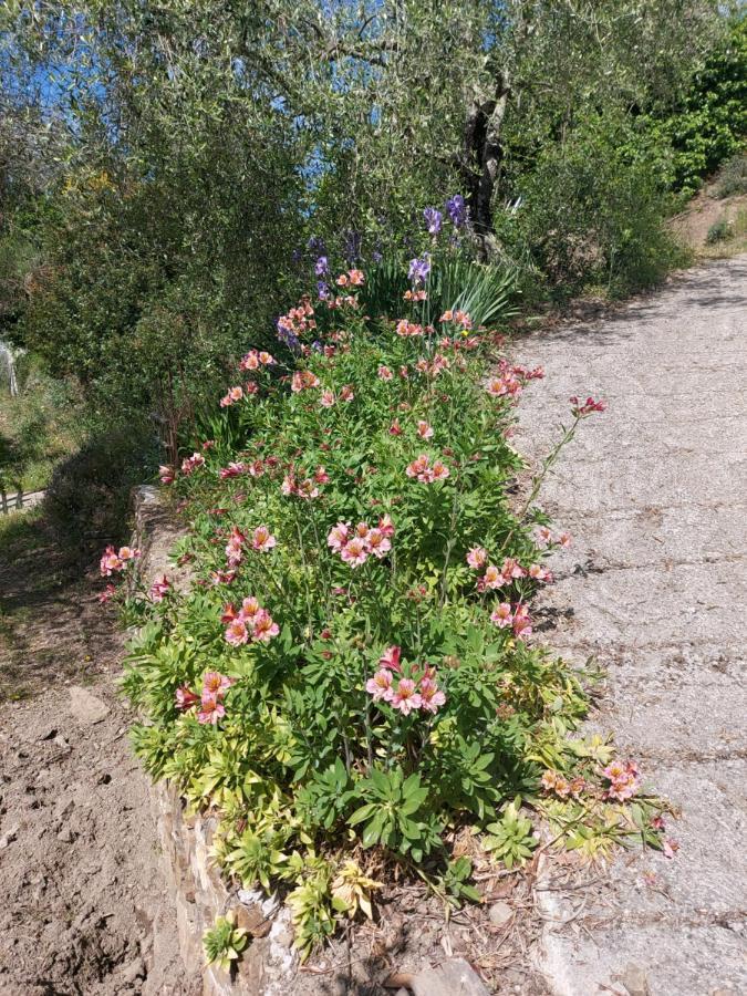 아프리칼레 Nostro Rifugio 빌라 외부 사진